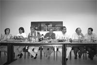 Terra Flor reforça aposta na olivicultura