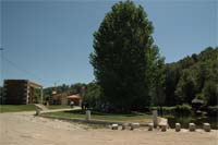 Crianças limpam margens dos rios