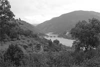 Plataforma não cede no Sabor