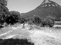 Pela Rota do Presunto