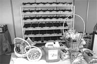 Cooperativa de Alfândega com nova direcção