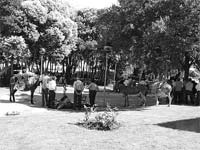 VIMIOSO acolhe sons e ruralidades