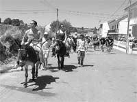 Verão a passear de burro