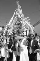CARÇÃO venera Senhora das Graças