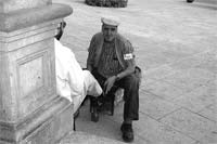 “Stalone” em acção