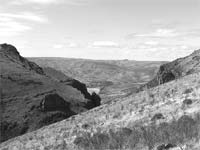 FREIXO quer integrar Património Mundial