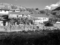 Projectos estruturantes para Bragança