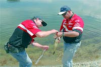 Pesca aguarda mais concessões