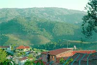 Agricultores contestam a barragem do Tua