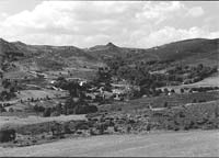 “Combater a perda total”