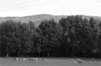 Mais prevenção na Serra de Bornes