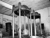 Controlo da qualidade do azeite em debate