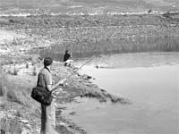 Pesca com falta de regulamentação