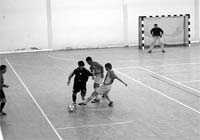 Funcionou a irreverente alegria