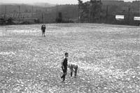 Equilibrado, mas não nos golos