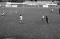 Simplesmente admirável