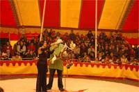 Circo natalício em Vinhais