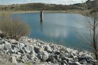 Veiguinhas a todo o custo