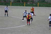 Pontos divididos no Natal