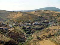 Entre a vida e a morte