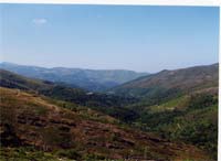 Seminário contra a desertificação