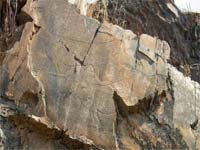 Museu do Côa já arrancou