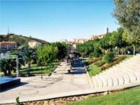 Mirandela promove Comércio Tradicional