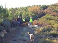 “Olha, lá vai um javali”