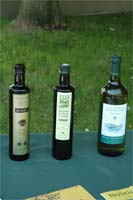 Mirandela aposta no mercado internacional