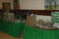 Azeite vai à escola