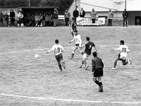 Apesar de tudo…Primeiros