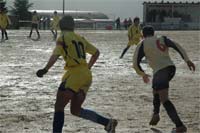 Vento favoreceu Mirandela