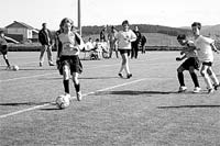 IVO: um central adulto