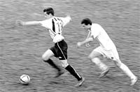 Fato macaco decisivo na vitória