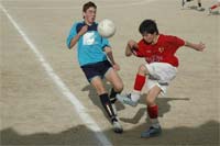 Canarinhos fortes demais