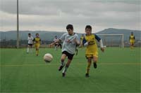 Contra a força não há argumentos