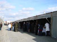 Produtos da Terra em Mogadouro