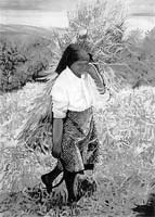 Aromas do Verão Transmontano