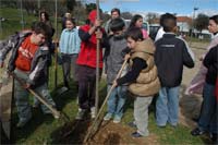 Crianças plantam árvores