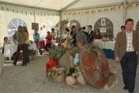 Frechas estreia feira