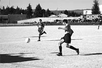 Clássico dos pequeninos