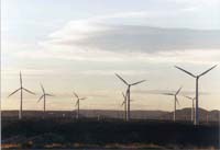 Irlandeses espreitam energia eólica