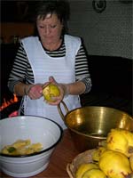 Sabores encadernados