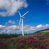 Projecto eólico no Parque de Montesinho