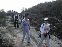 Passeios pelas paisagens rurais