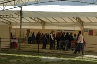 Espanhóis invadem Moimenta