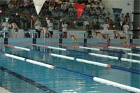 Braçadas em Bragança