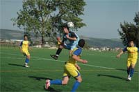 Trauma das bolas paradas