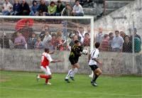 Estrelinha faltou ao Mirandela