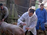 Divisão de Veterinária fica em Bragança